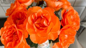 Bright orange flowers. Blog about self-love.